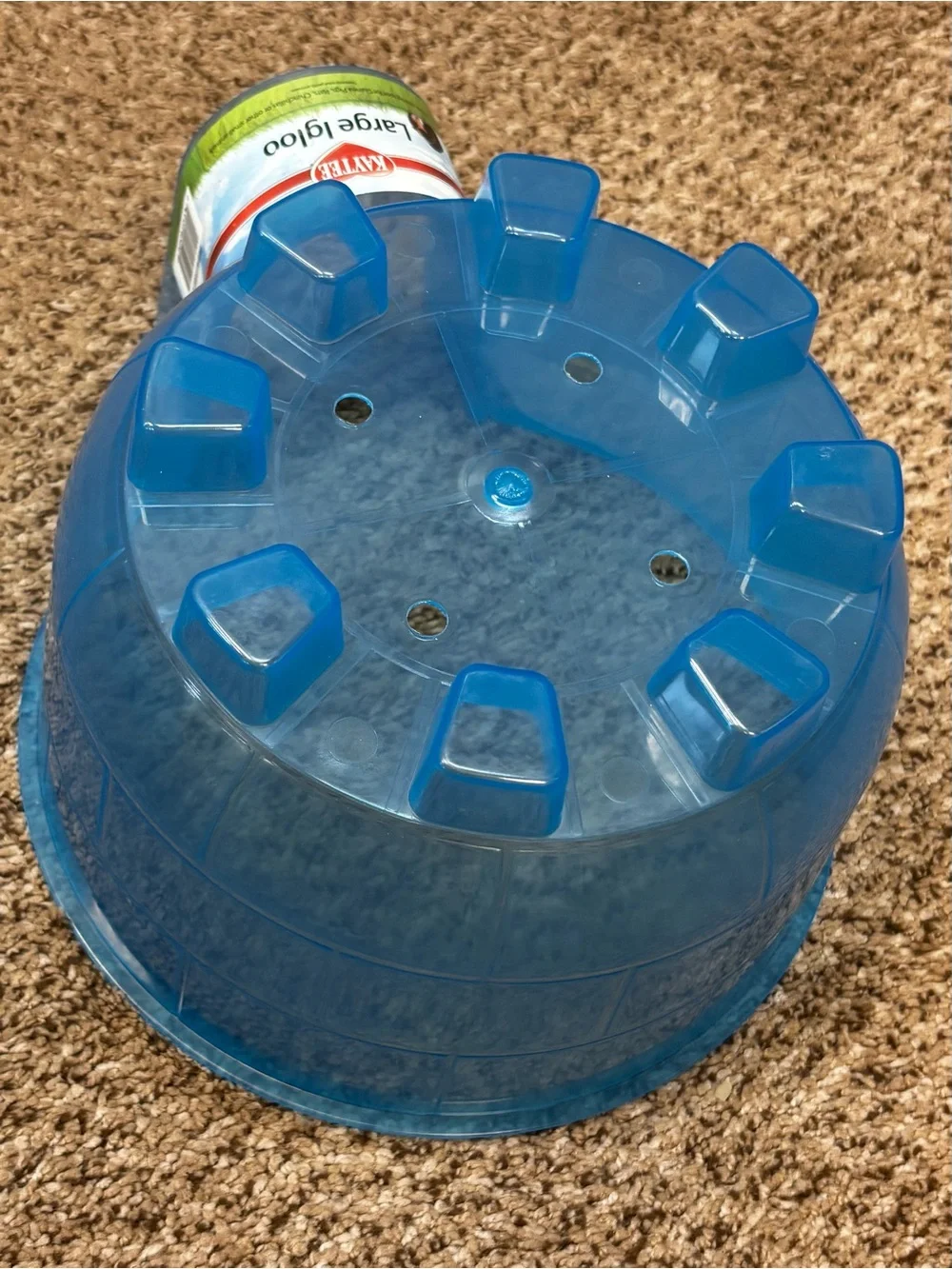 Kaytee Small Animal Large Blue Igloo